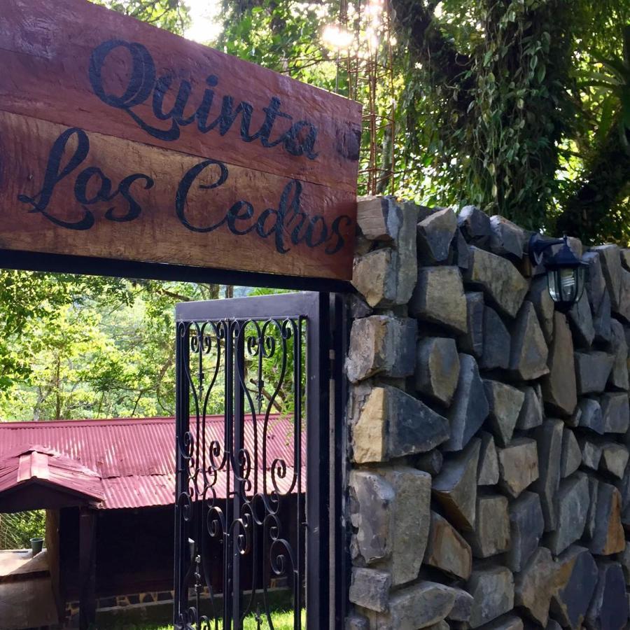 Finca Quinta Los Cedros Xilitla Exteriör bild
